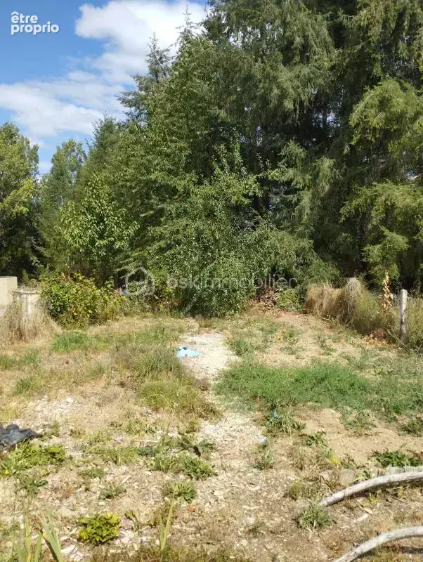 Petite maison pleine de charme - photo 3