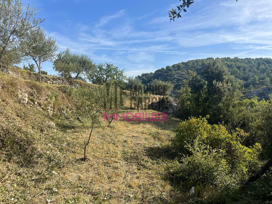 Terrain à LE BARROUX