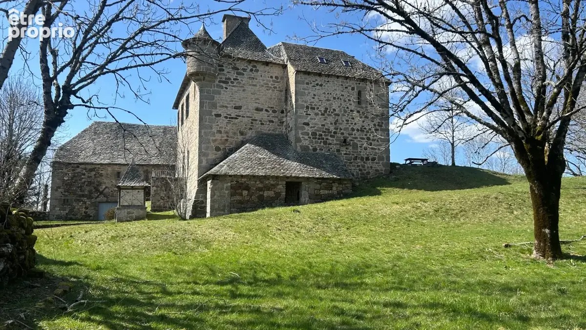 Manoir du XIVe siècle : Authenticité, Air pur et Golf entre l'Aubrac et les Monts du Cantal - photo 4
