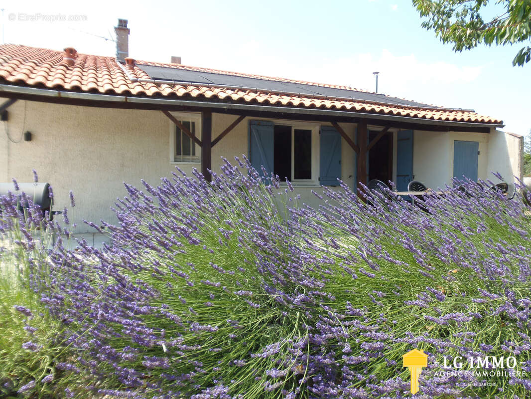 Maison de plain pied avec 4 chambres piscine et belle vue sur l'estuaire de la Gironde. - photo 12