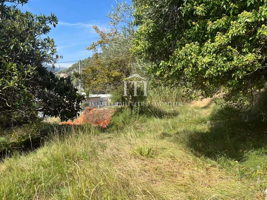 Terrain à L'ESCARENE