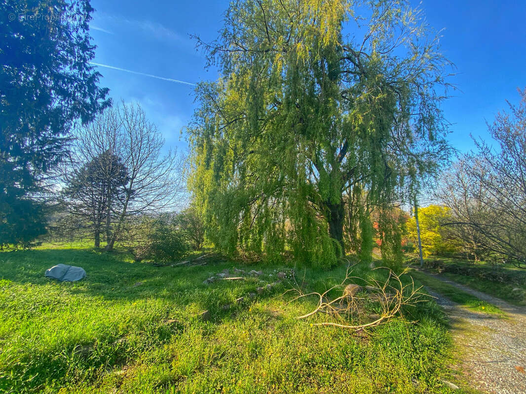 Maison à SAINT-JEAN-PIED-DE-PORT