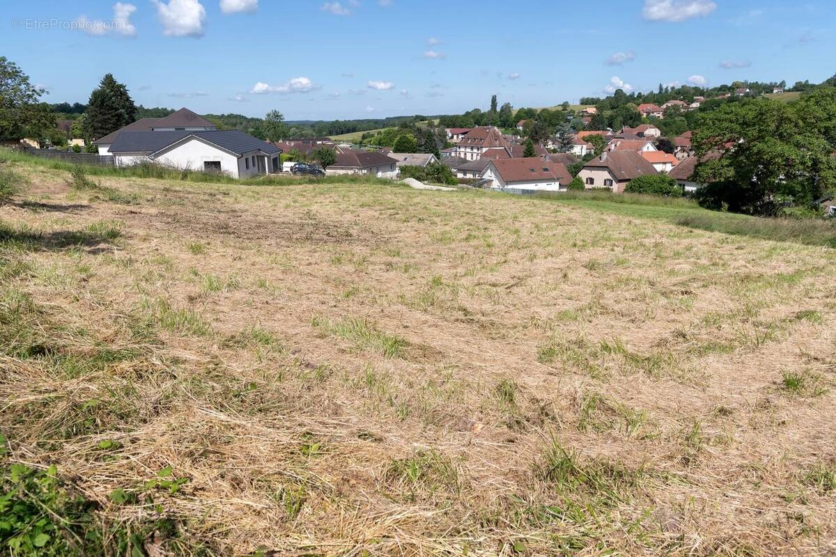 Terrain à SAULNOT