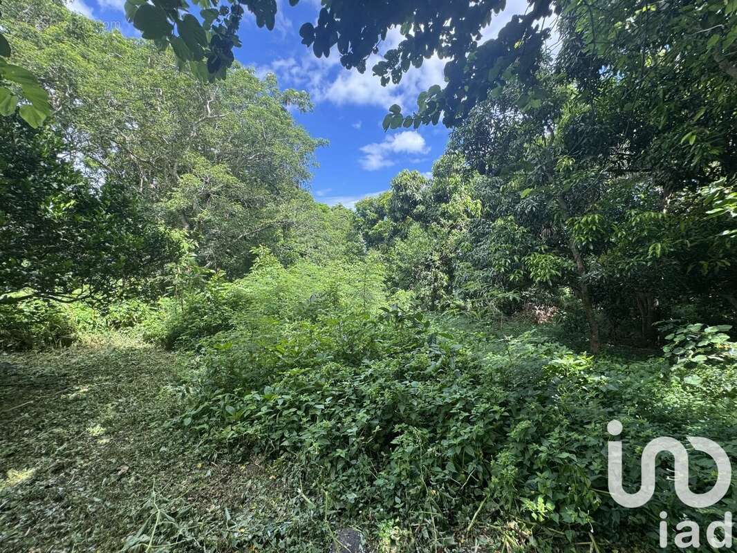 Photo 3 - Terrain à SAINT-PAUL