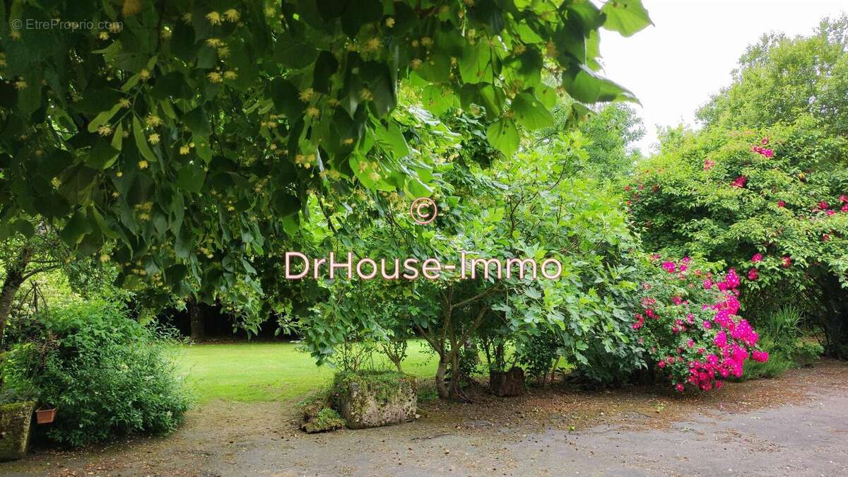 Maison à LA TOUR-BLANCHE