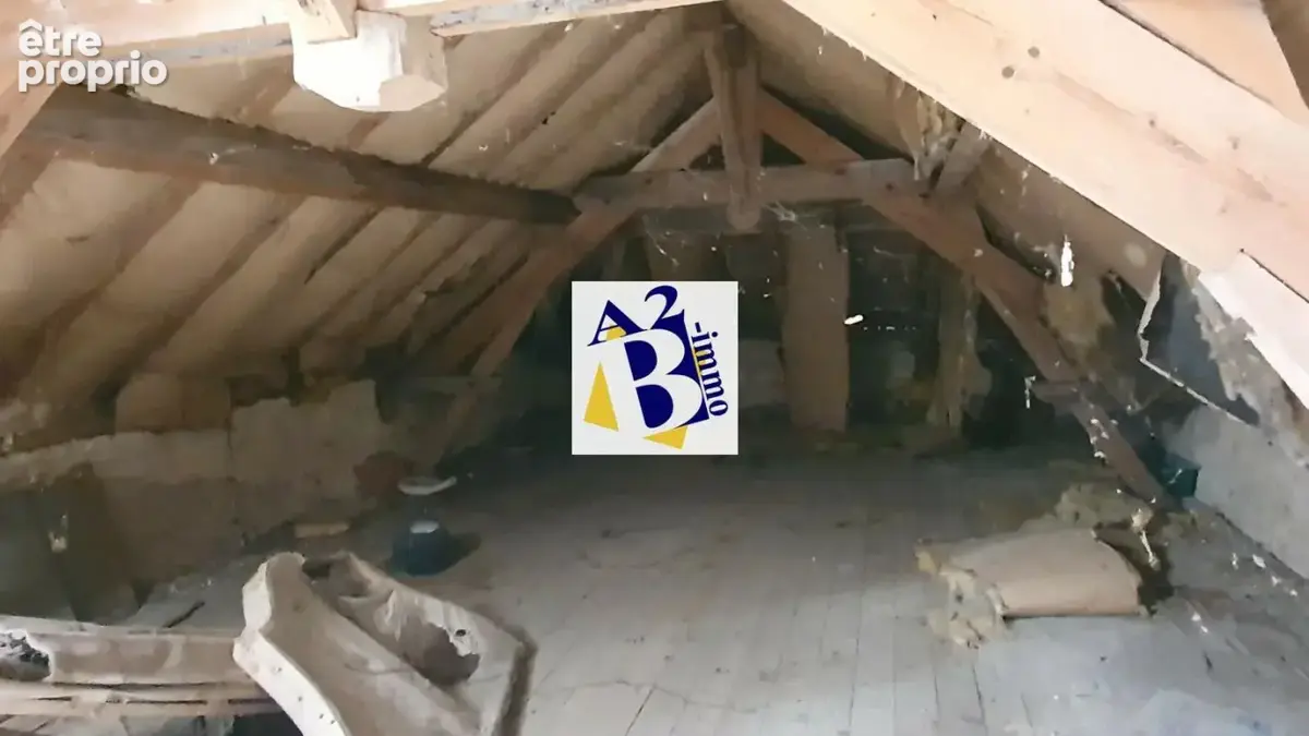 10 Min Cognac, Maison de Maitre à rénovée, dépendances - photo 13