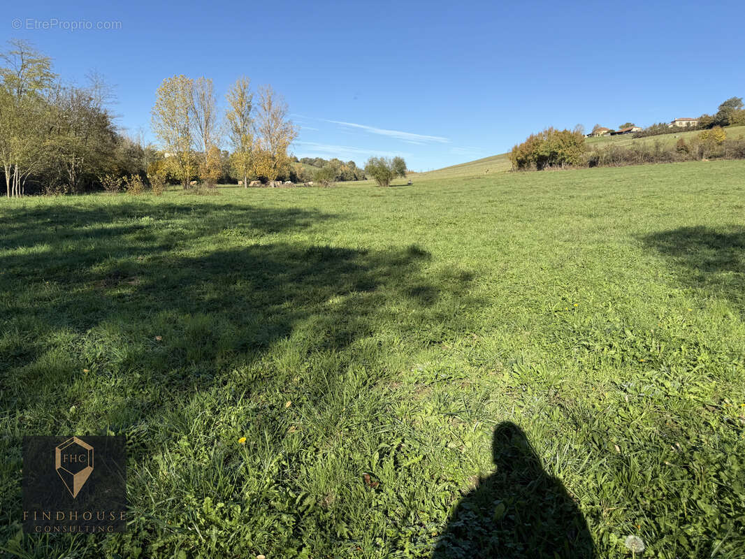 Terrain à AURIGNAC
