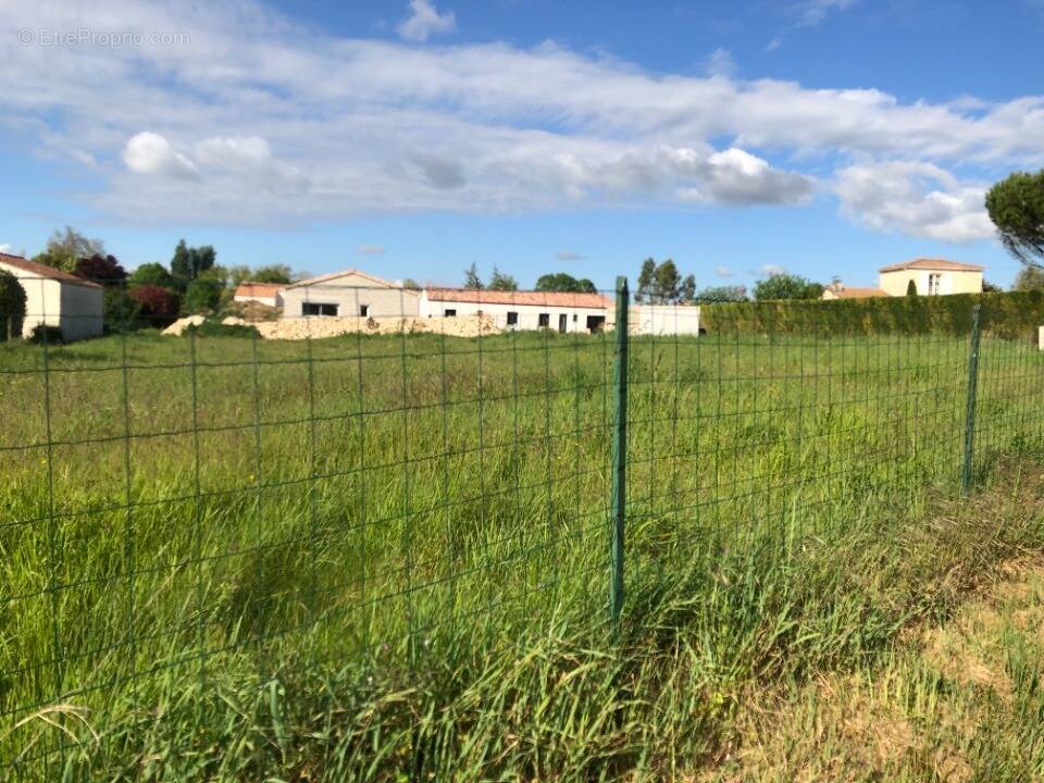 Terrain à PORT-D'ENVAUX