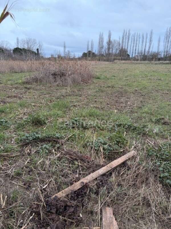 Terrain à NARBONNE