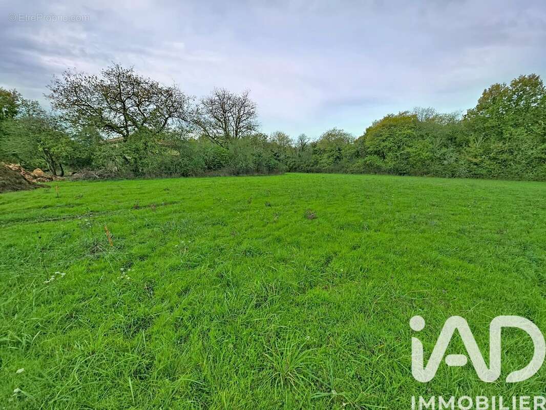 Photo 3 - Terrain à PRANZAC