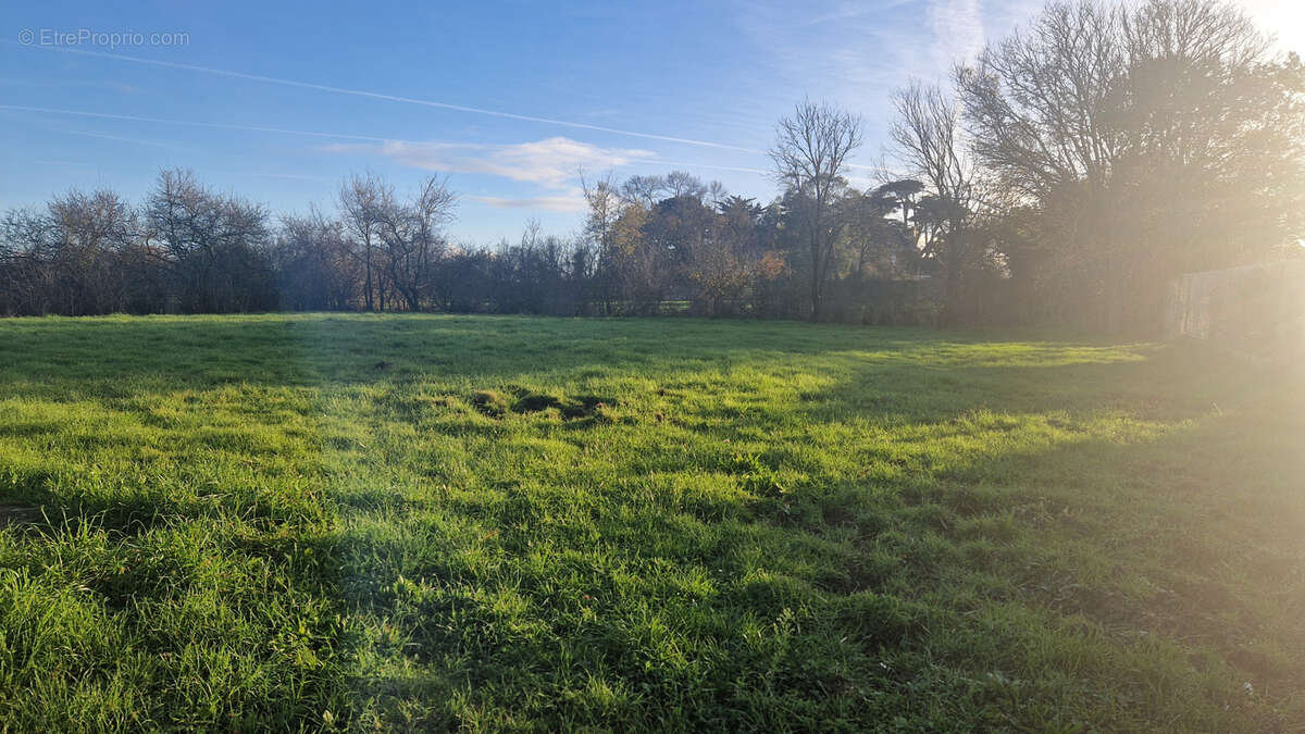 Terrain à LA PLAINE-SUR-MER