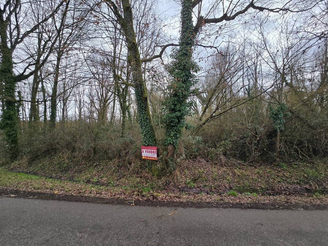 Terrain à POILLY-LEZ-GIEN