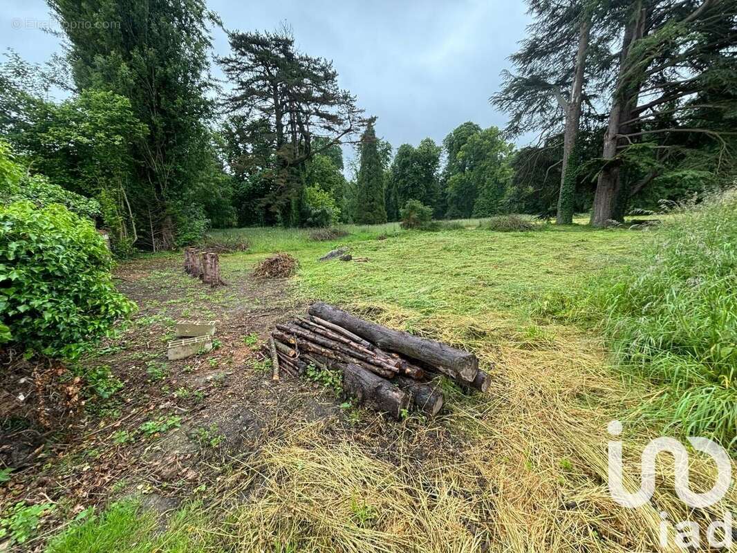Photo 2 - Terrain à ESSOMES-SUR-MARNE