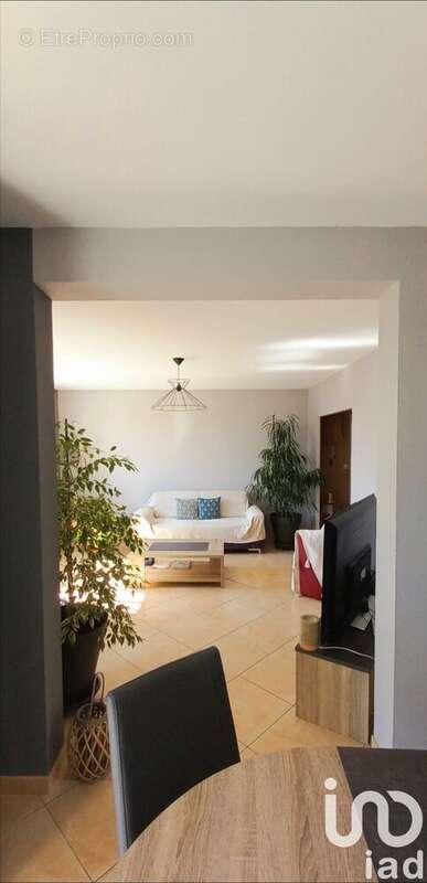 Photo 3 - Appartement à ANGERS