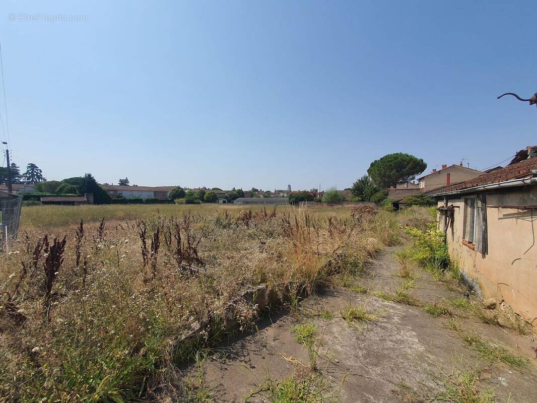 Photo 1 - Terrain à ALBI