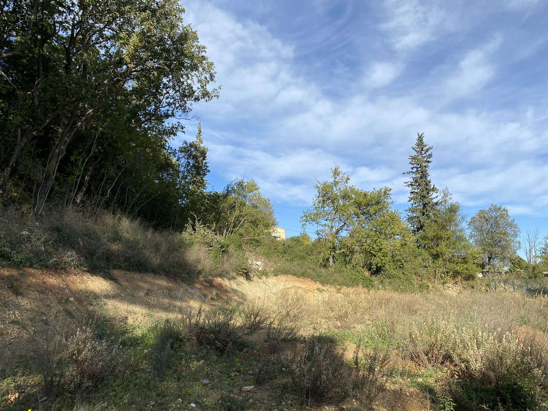 Terrain à CLERMONT-L&#039;HERAULT