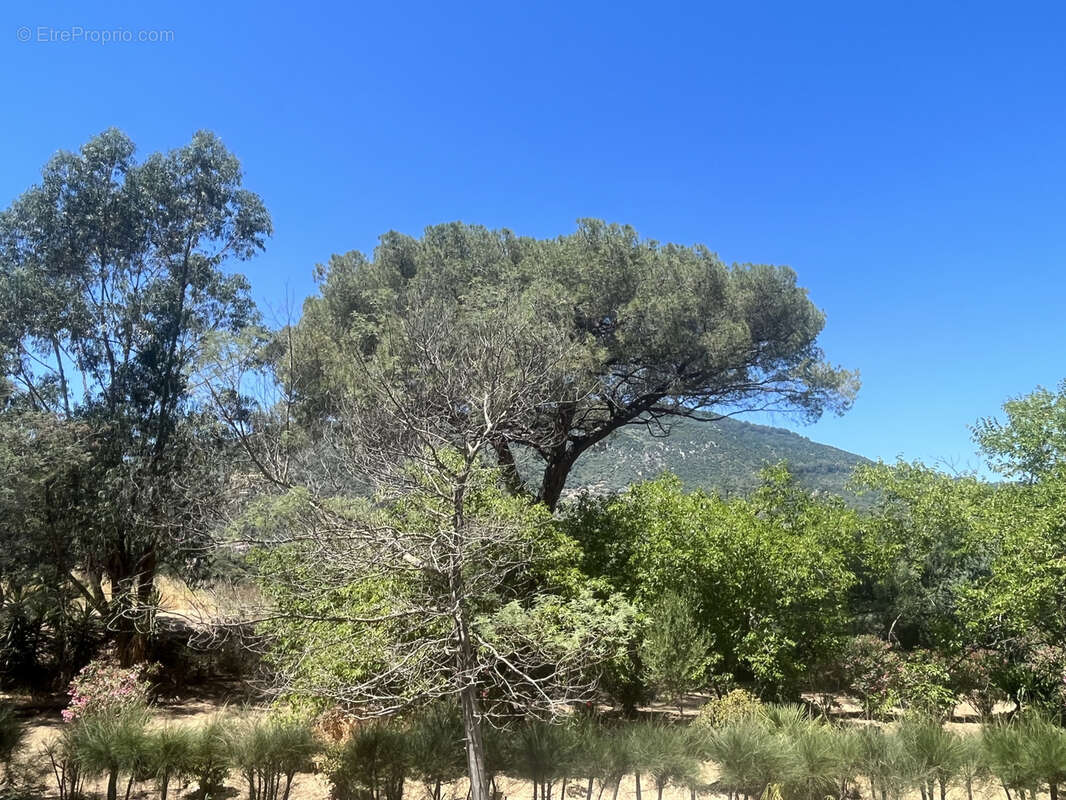 Appartement à AJACCIO