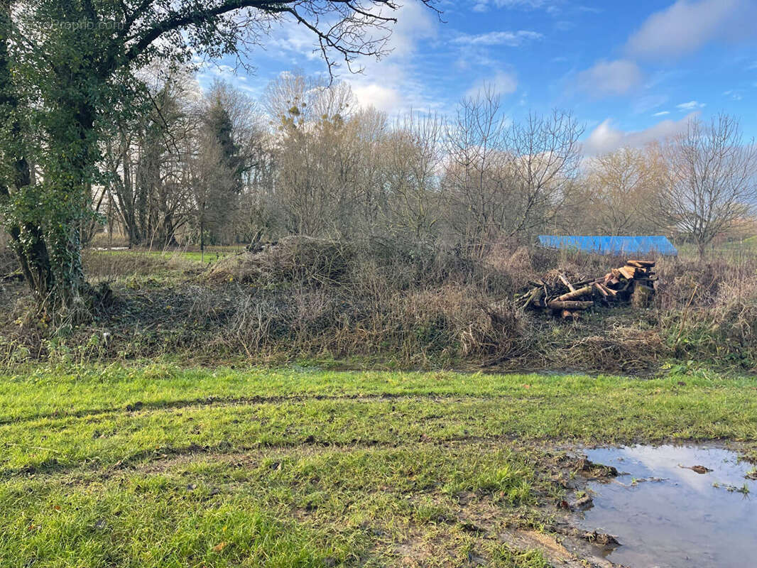 Terrain à LAHEYCOURT