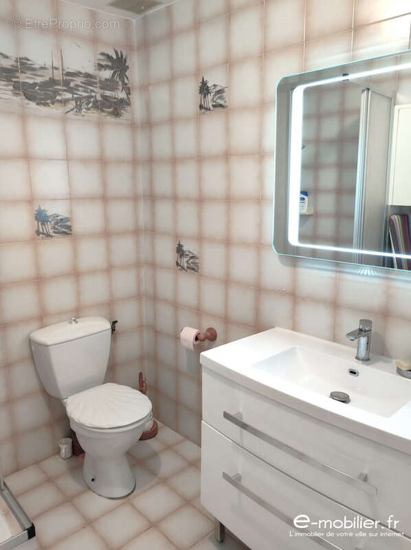 Salle d'eau WC - Maison à GROIX