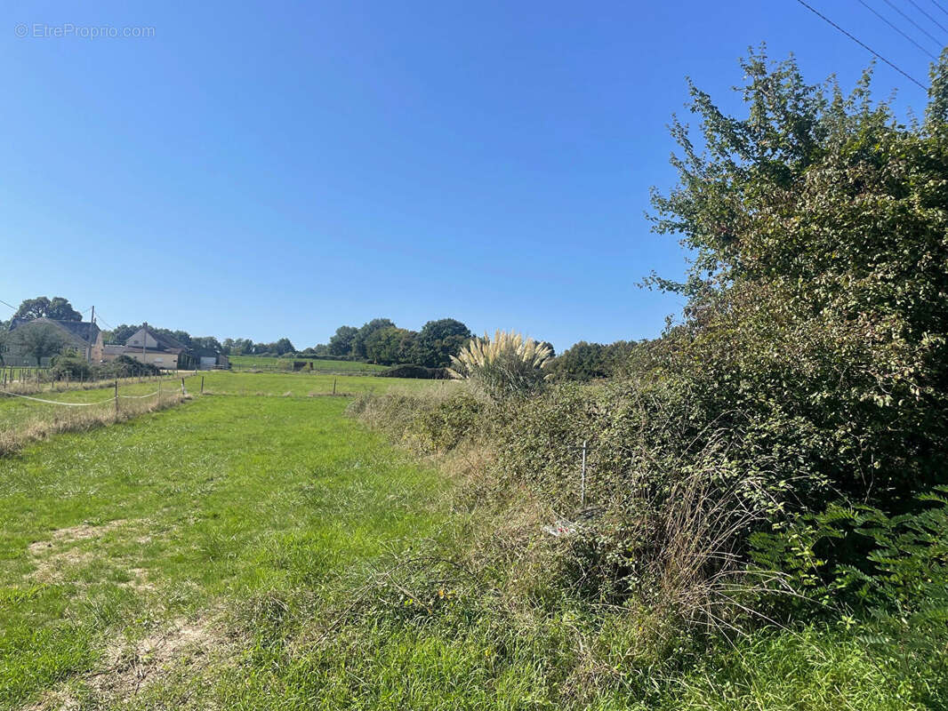 Terrain à SAINT-ANTOINE-DU-ROCHER