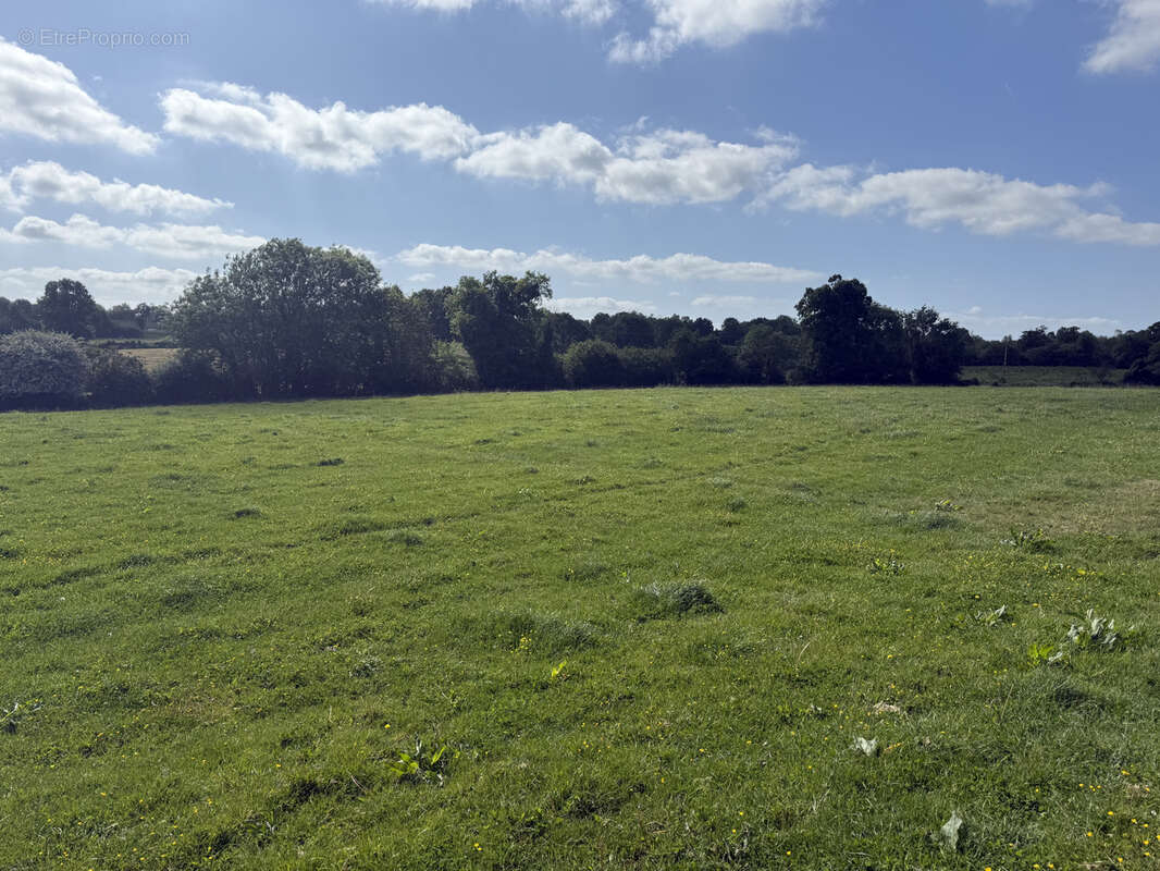 Maison à MONTREUIL-SUR-LOZON