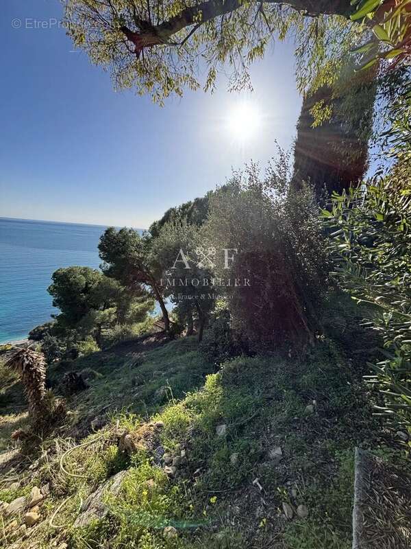 Maison à ROQUEBRUNE-CAP-MARTIN