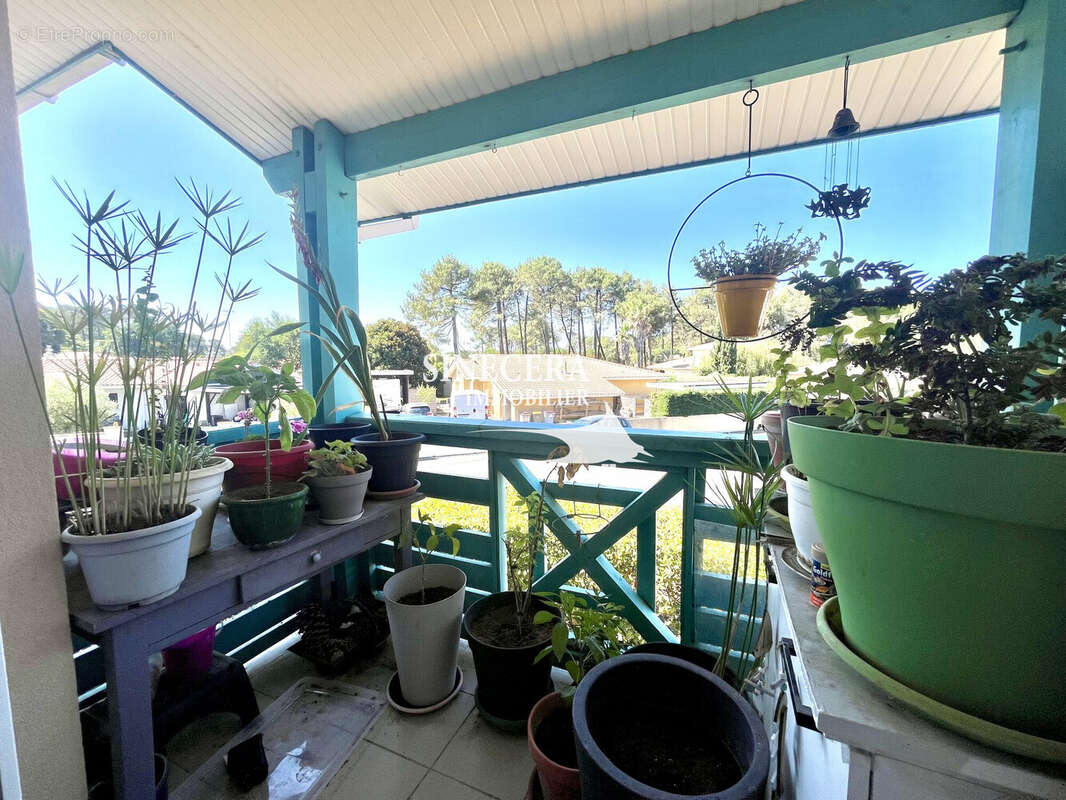 Appartement 56 m² à Gujan-Mestras  - photo 2