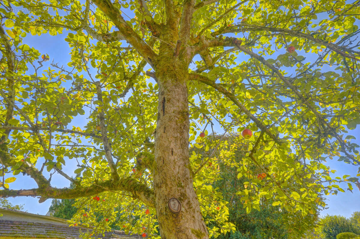 Maison à BOURRON-MARLOTTE