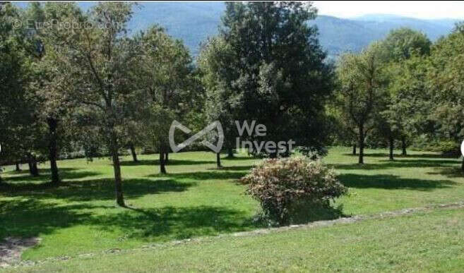 Maison 340 m² à Saint-Amans-Valtoret  - photo 3