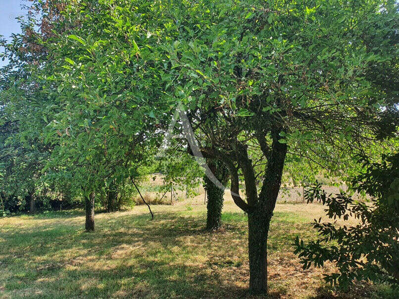 Maison à vendre à saint aignan - photo 3