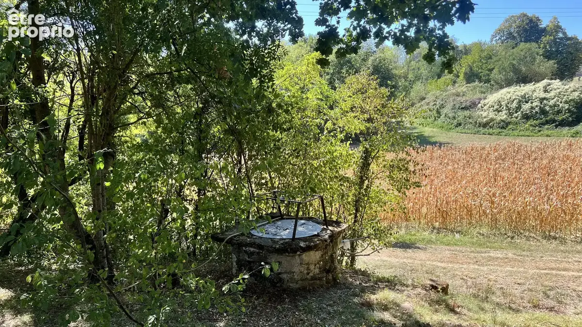 Campagne 200 m² grand terrain 8500 m² - photo 36
