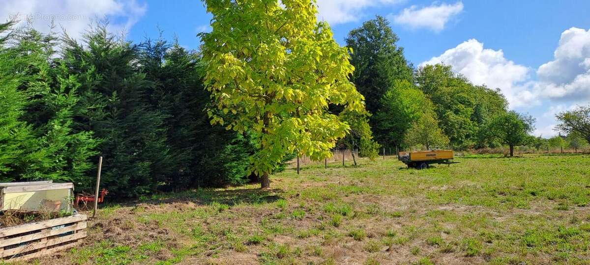Maison à SAINT-PAUL-LA-ROCHE