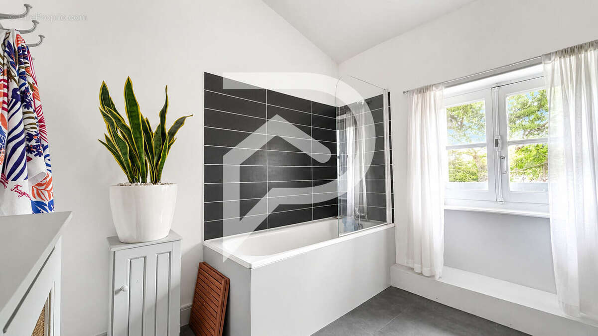 Véritable Maison Coup de Coeur 250 m² et son Jardin Secret Mazamet - photo 13