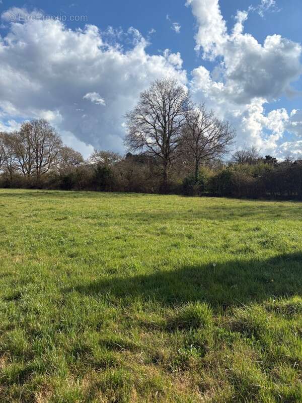 Terrain à ARTHON-EN-RETZ