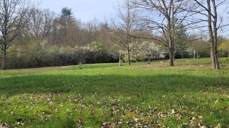 Terrain à SAINT-MAURICE-MONTCOURONNE