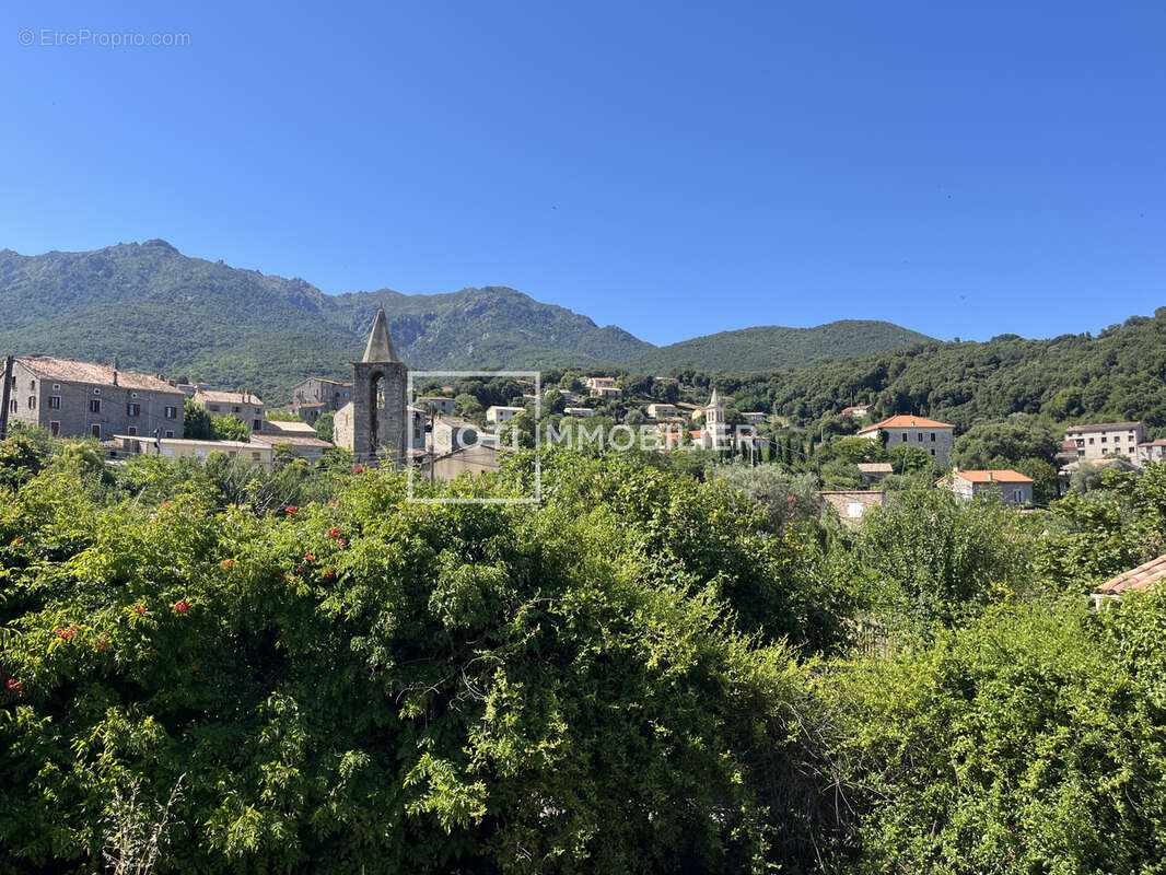 Petreto bicchisano - maison 3 pieces - 95.05m2 - photo 3