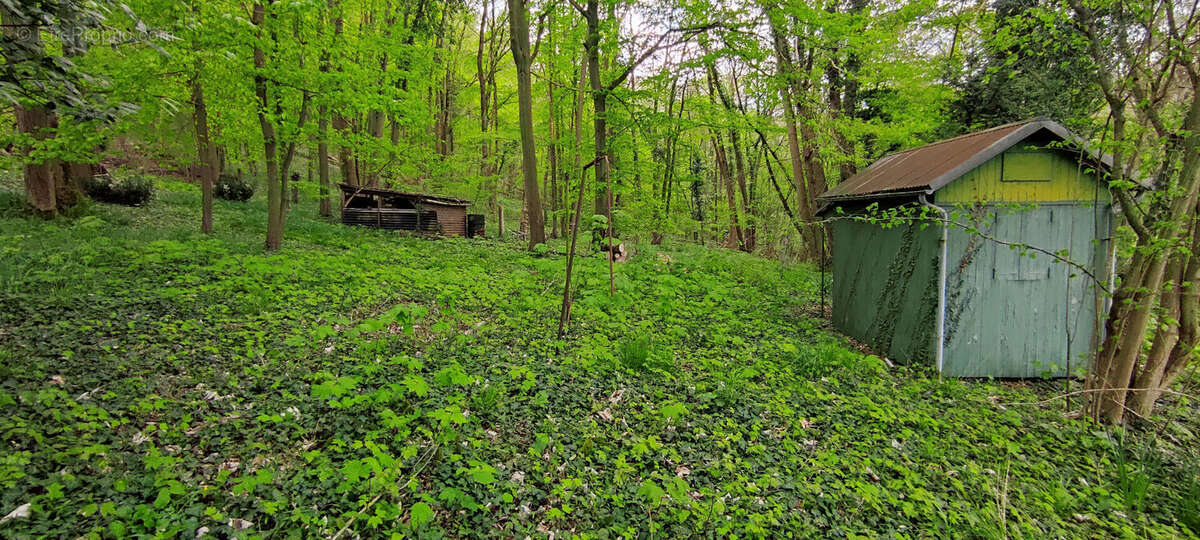 Terrain à BELLE-EGLISE