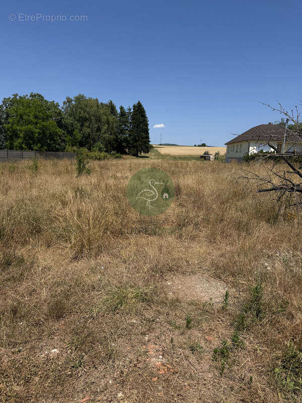 Terrain à GUMBRECHTSHOFFEN