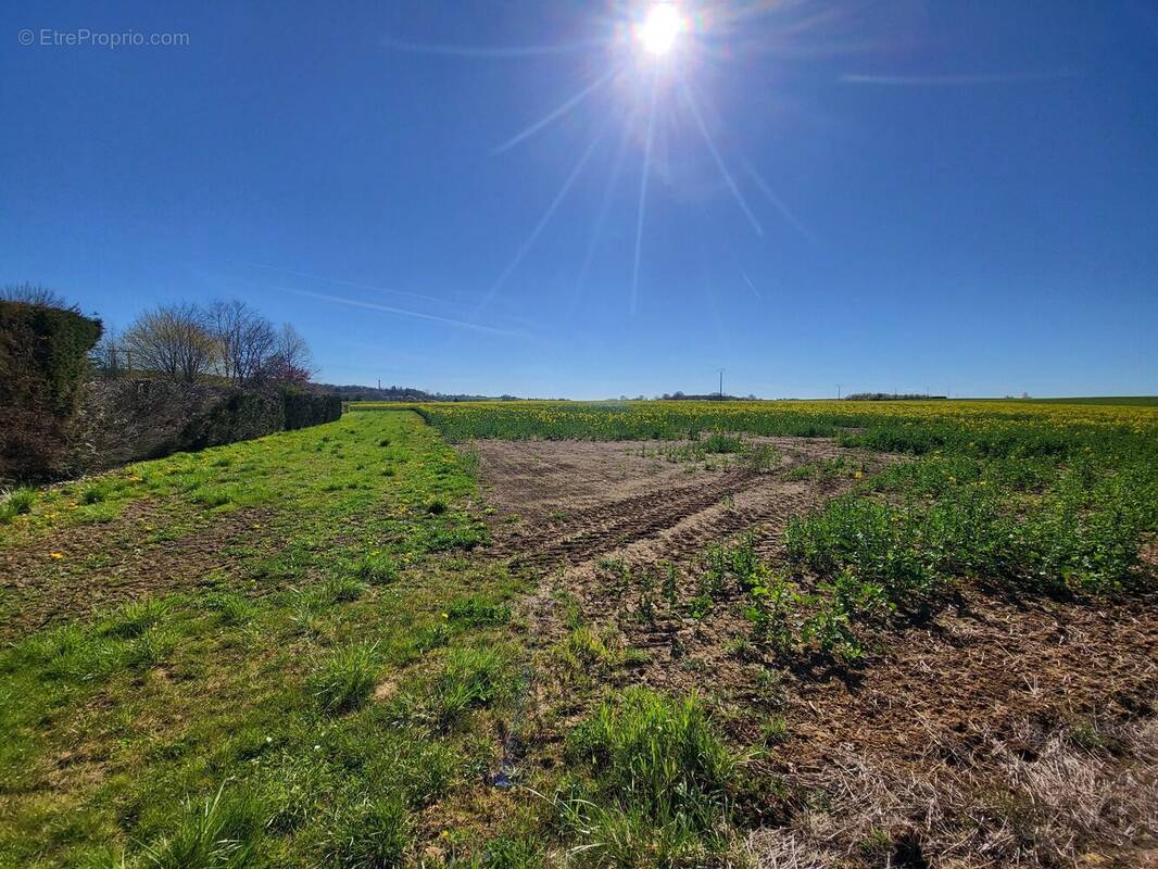 Terrain à PIERREPONT