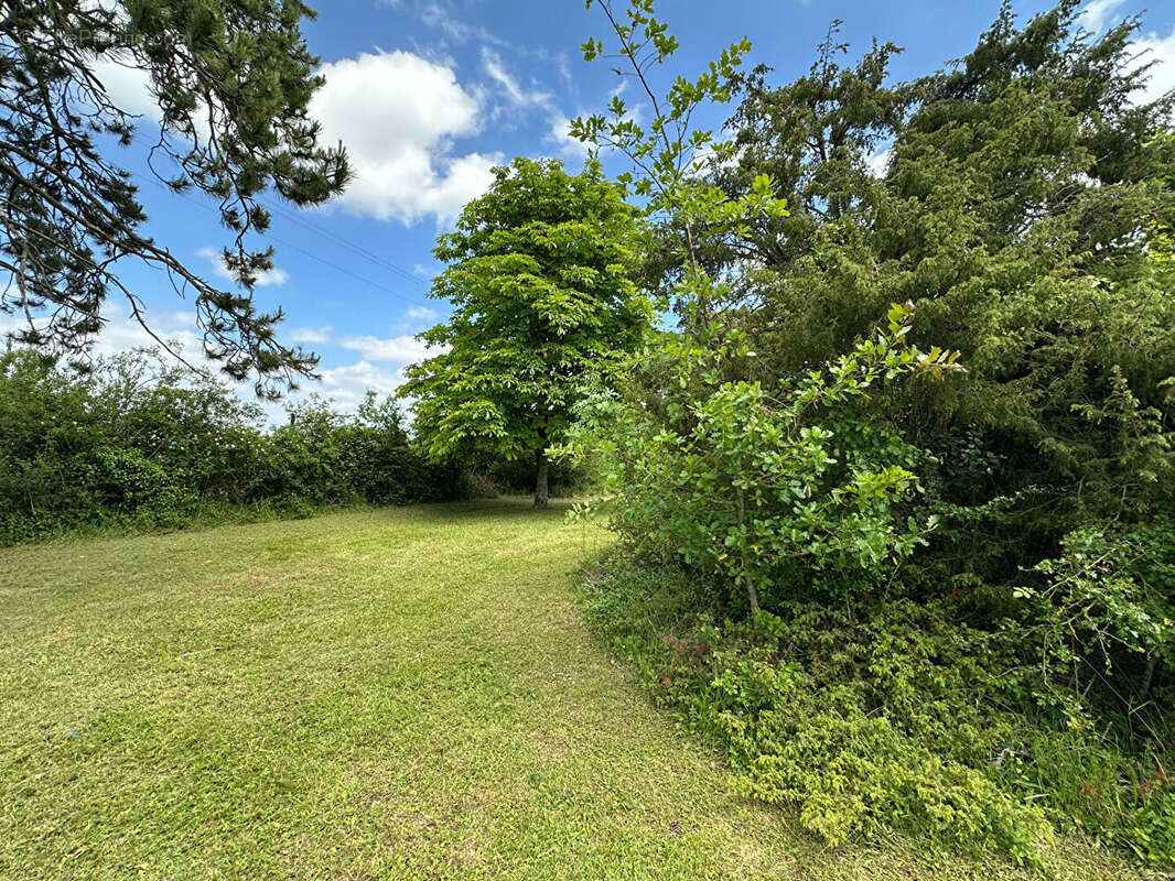 Maison 172m² à boigneville - photo 13