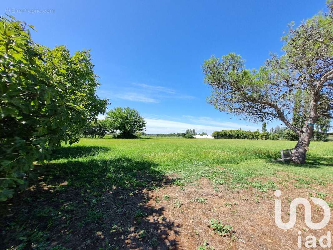 Photo 7 - Maison à ARLES