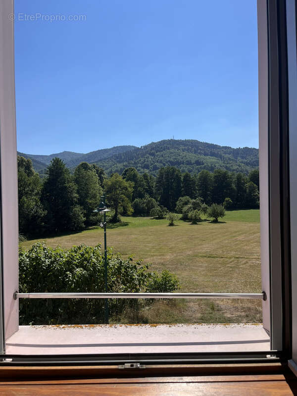 Immeuble WEGSHEID - Idéal investisseur ! - photo 10