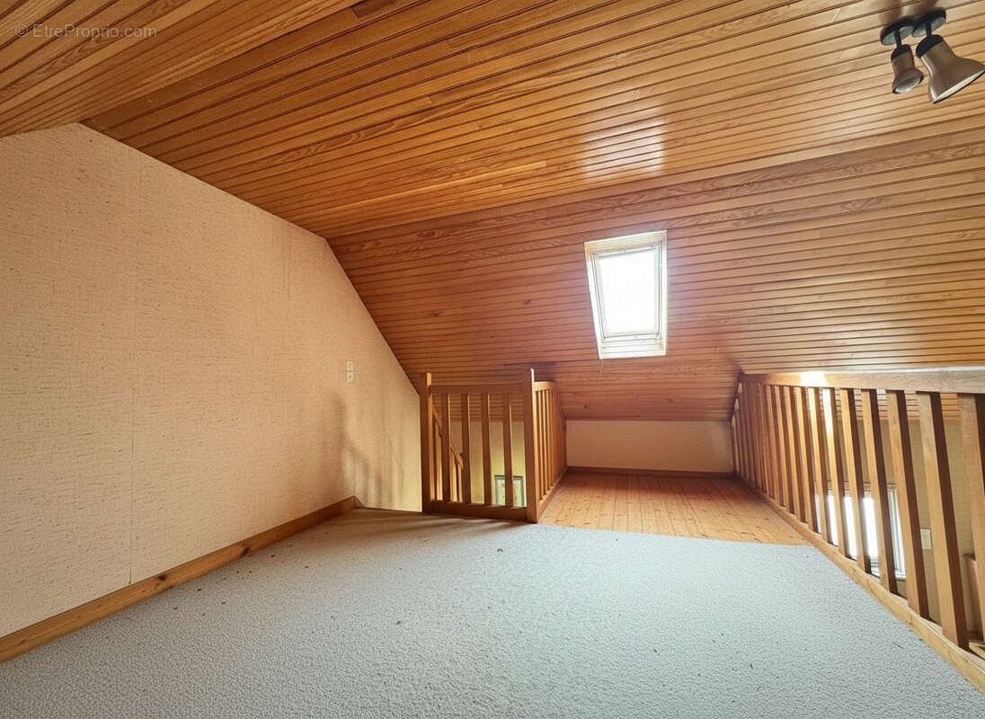 Maison à SAINT-THONAN