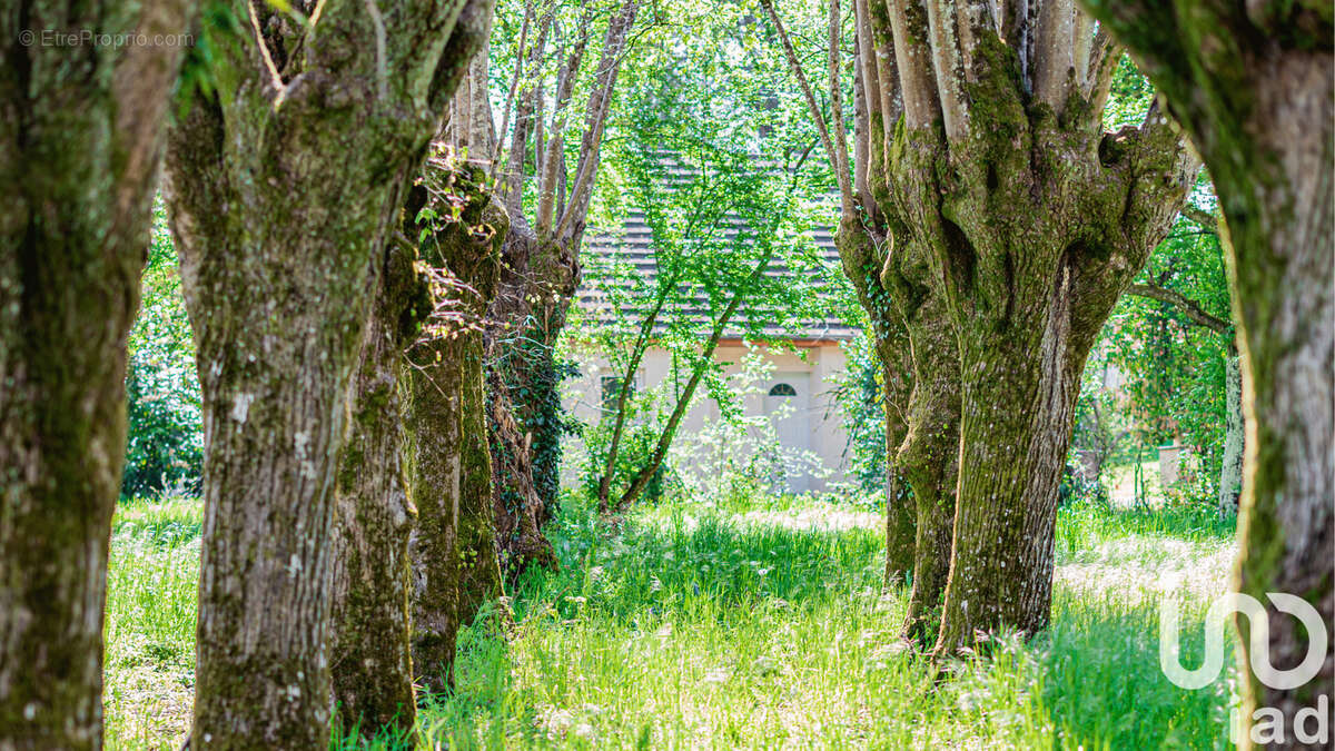 Photo 5 - Terrain à MONTFERRAND-LE-CHATEAU