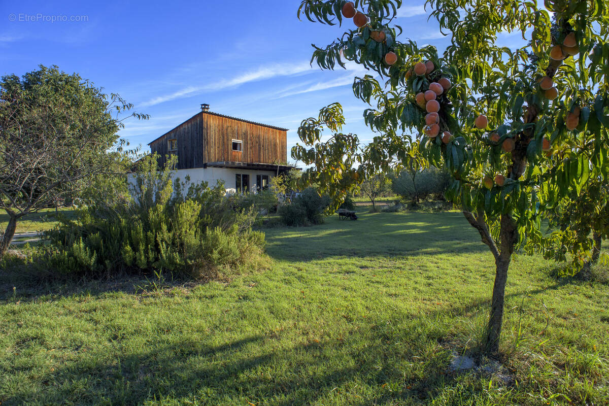 Maison à ORTAFFA