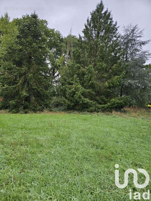 Photo 4 - Terrain à VILLENEUVE-SUR-YONNE