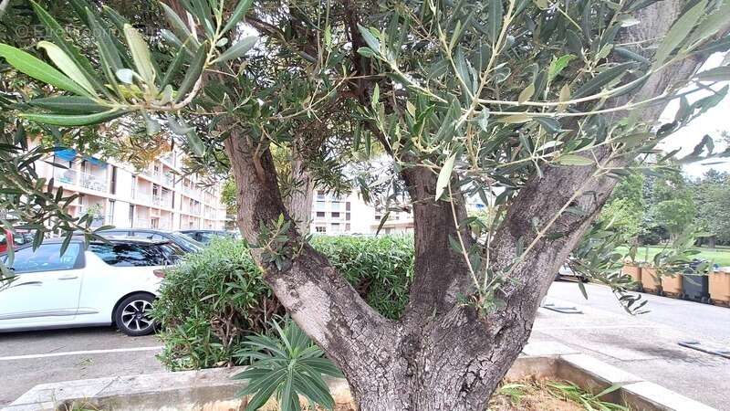 Appartement à PORT-DE-BOUC