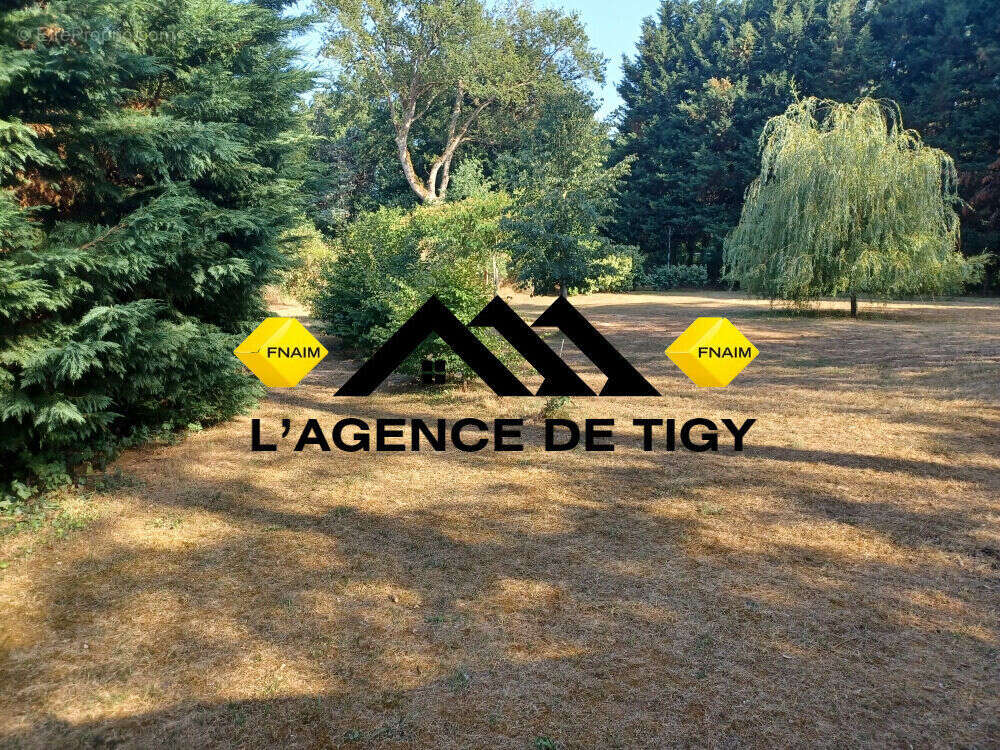 Propriete de charme avec piscine - photo 16