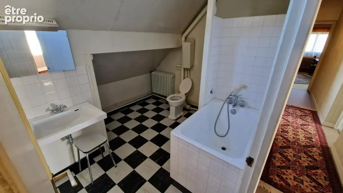 Maison 319 m² à La Chatre  - photo 21