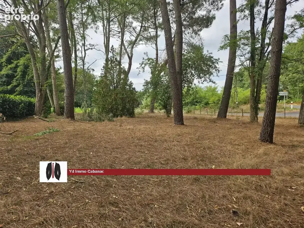 Grande maison landaise de plus de 210 m² sur vaste terrain arboré - photo 22